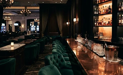 The Verdant Bar at the Solnexalsan Hotel